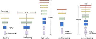 Improving plant disease classification by adaptive minimal ensembling